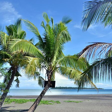 Adventure Camp Beach Resort Sablayan Exterior photo